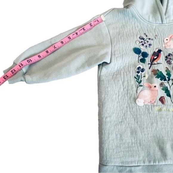 Whooli Chen x H&M Girl’s Mint Green Bunnies Woodland Hoodie Size 5T/6 - Picture 3 of 11